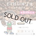 ★数量限定★ エチオピア ケビルゲイシャ農園 ゲイシャ G1 ナチュラル[自家焙煎珈琲豆]