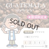 ★数量限定★ グアテマラ オリエンテ ナチュラル[自家焙煎珈琲豆]