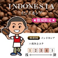 ★数量限定★ インドネシア フローレス チョロ [自家焙煎珈琲豆]