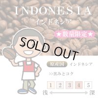 ★数量限定★ インドネシア フローレス チョロ [自家焙煎珈琲豆]