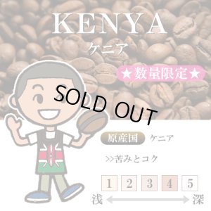 画像1: ★数量限定★ ケニア マサイ AA [自家焙煎珈琲豆]