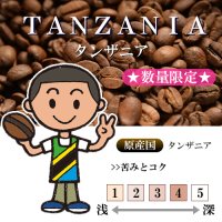 ★数量限定★ タンザニア キゴマ ディープブルー AA [自家焙煎珈琲豆]