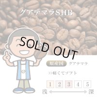 グアテマラ SHB [自家焙煎珈琲豆]