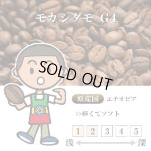 画像1: 【入荷待ち　9月中旬】モカシダモ G4 [自家焙煎珈琲豆]