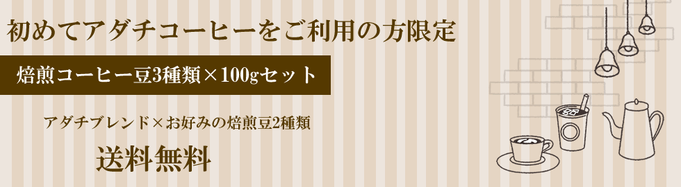 初回ご注文限定セット