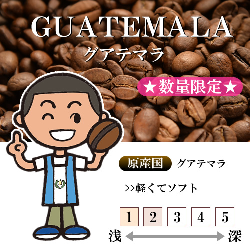 グアテマラ リンダビスタ農園 ブラックハニー