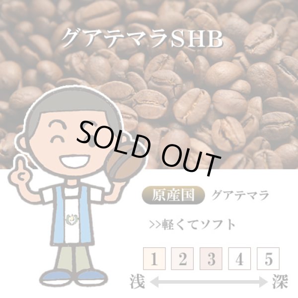画像1: 【入荷待ち】グアテマラ SHB [自家焙煎珈琲豆] (1)