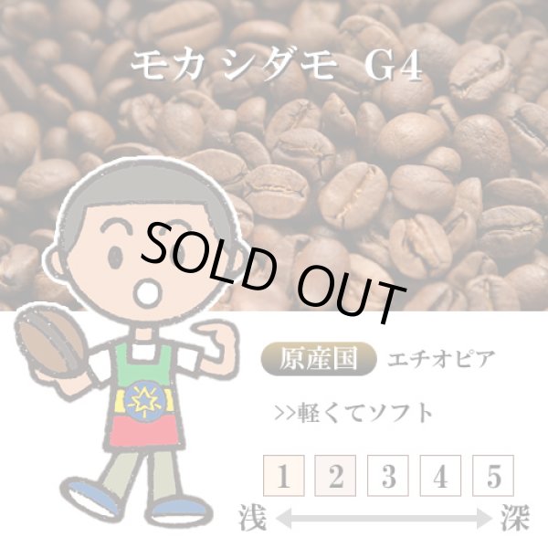 画像1: 【入荷待ち】モカシダモ G4 [自家焙煎珈琲豆] (1)