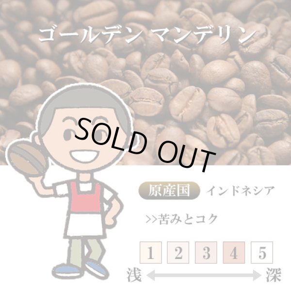 画像1: 【入荷待ち　10月上旬】ゴールデン マンデリン [自家焙煎珈琲豆] (1)